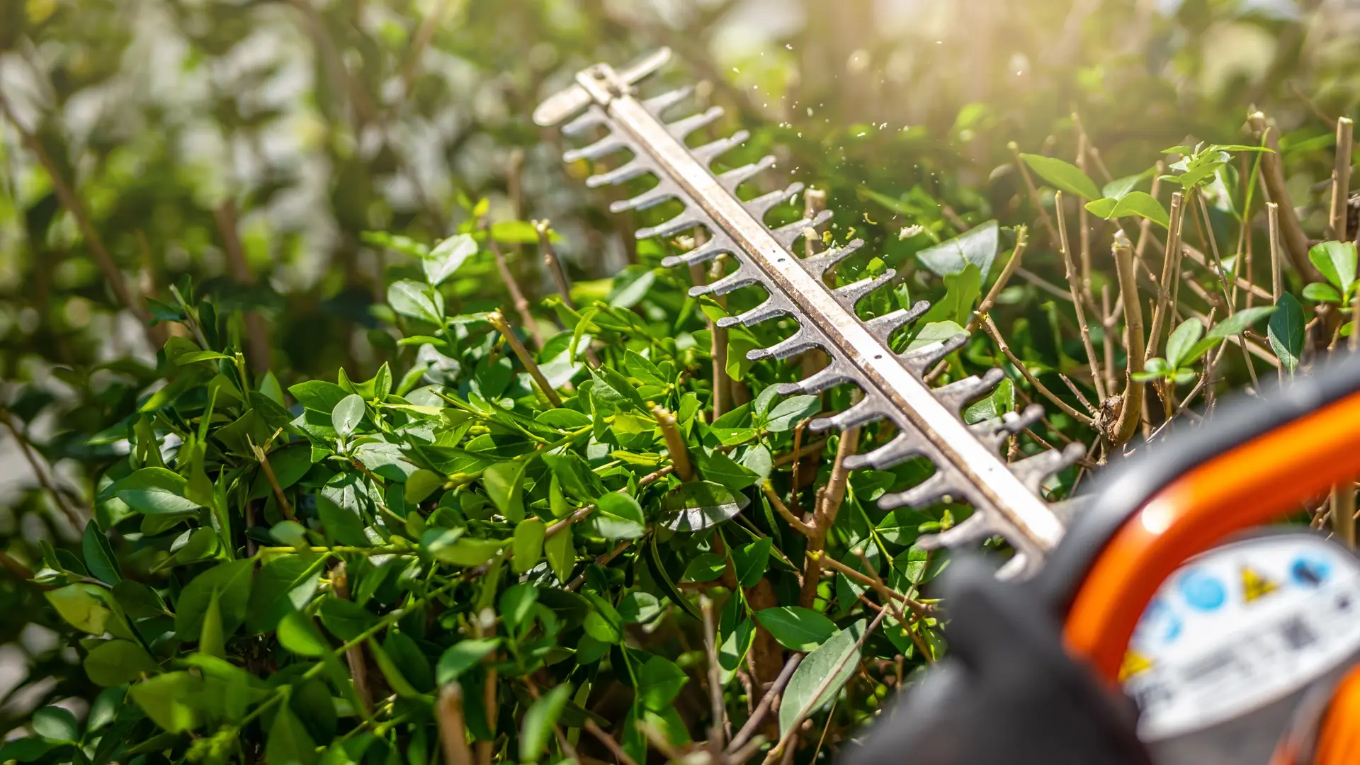 Gebäudeservice — Gartenpflege und Treppenhausreinigung